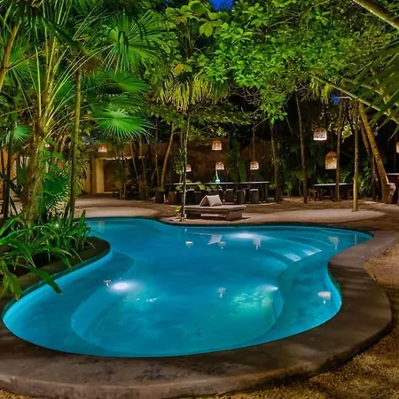 Tree House - Access - Holiday home