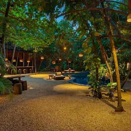 Tree House - Access -