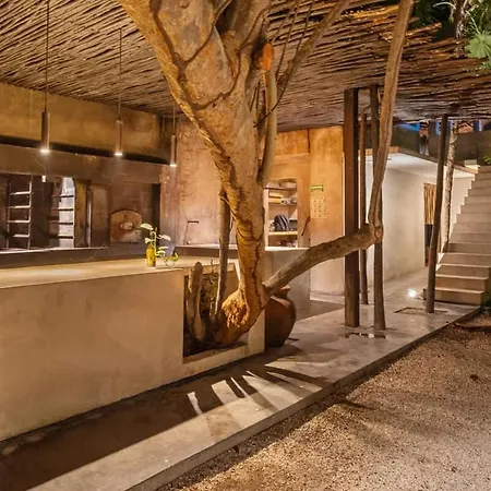 Tree House - Access - *