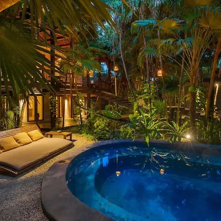 Tree House - Access - *