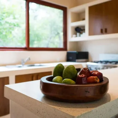 Holiday home 3br Jungle Escape With Luxe Plunge Pool- Holistika *