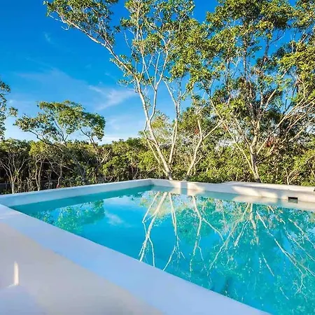Designer Luxury With Private Pool Oasis Holiday home