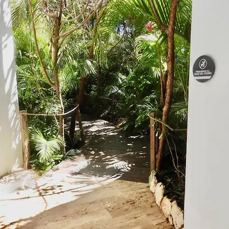 New! La Veleta 2br, Pool, Jacuzzi & Gym Сasa de vacaciones Tulum