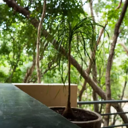 3br Jungle Escape With Luxe Plunge Pool- Holistika * Tulum