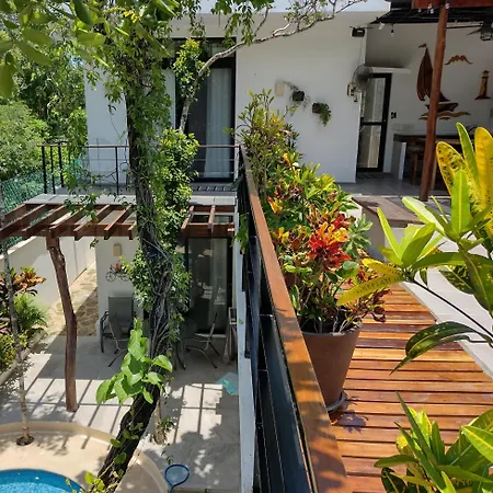 Tucanes Tulum