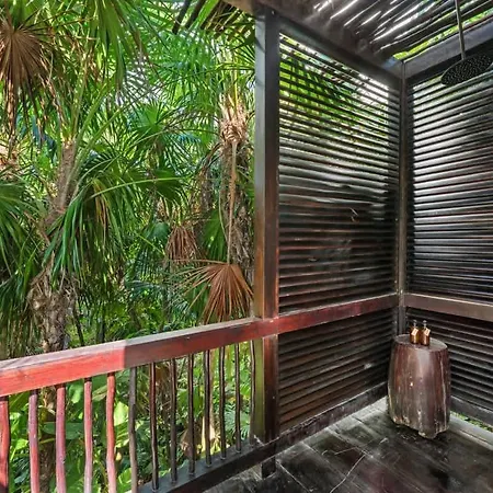 Tree House - Access - Tulum