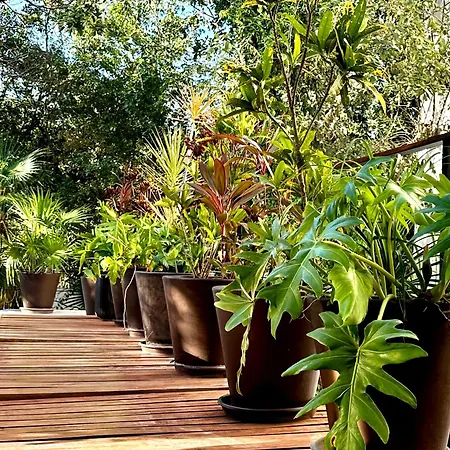 Tucanes Villa