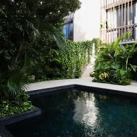 Hotel King Studio En Coba Pool, Gym & Garden Tulum