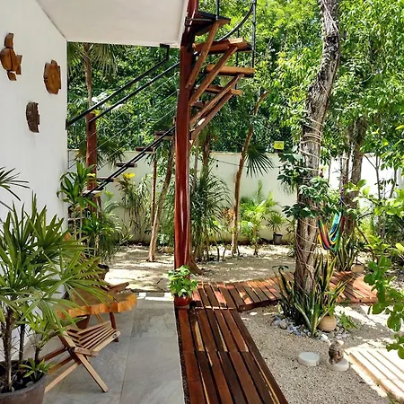 Tucanes Tulum