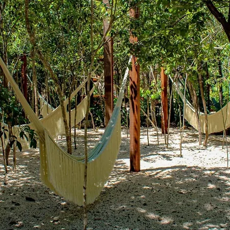 Exclusive Jungle Hideaway Apartment