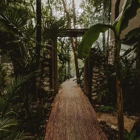 Private Jungle 1br Retreat & Fast Wi-fi *