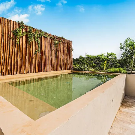 Apartment Jungle Penthouse W Sunset Rooftop Private Pool *