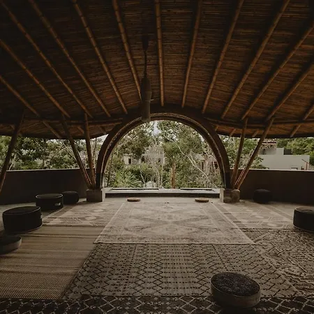 Private Jungle 1br Retreat & Fast Wi-fi *