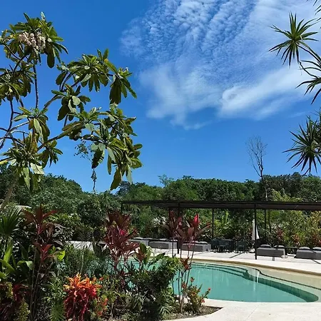 Apartment 1br Private Pool Jungle View Shuttle Tulum