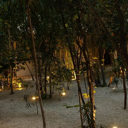 Apartment Sky Pool - 4 Guests - Near The Tulum
