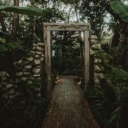 Private Jungle 1br Retreat & Fast Wi-fi Apartamento *