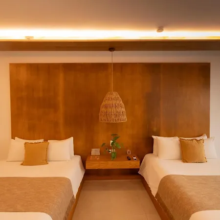 Hostal Mayan Monkey - Social (adults Only) *