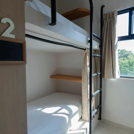 Hostal Mayan Monkey - Social (adults Only) *
