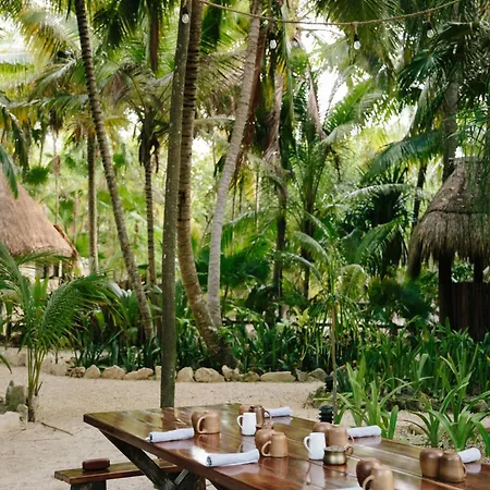 Olas Bed & Breakfast
