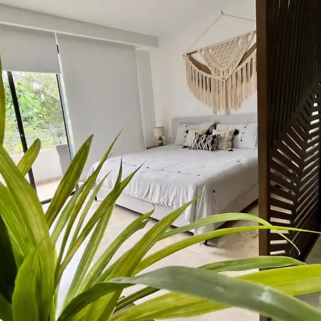 Menesse Apartamento *