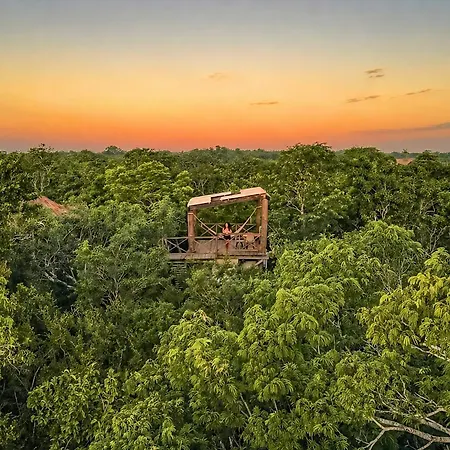 Lodge Treehouse H2ojos *