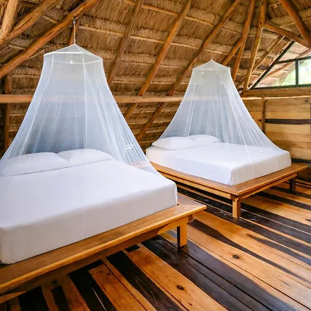 Lodge Treehouse H2ojos Tulum