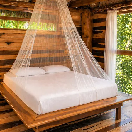 Treehouse H2ojos Lodge