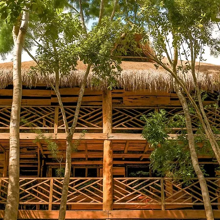 Treehouse H2ojos *