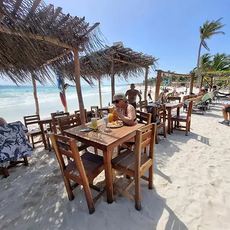 Hotel Alma Libre 4*
