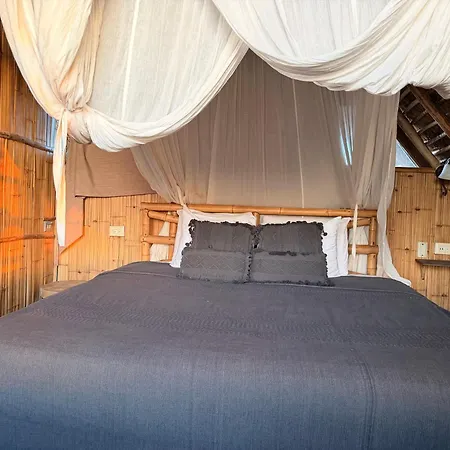 Alma Libre Hotel 4*