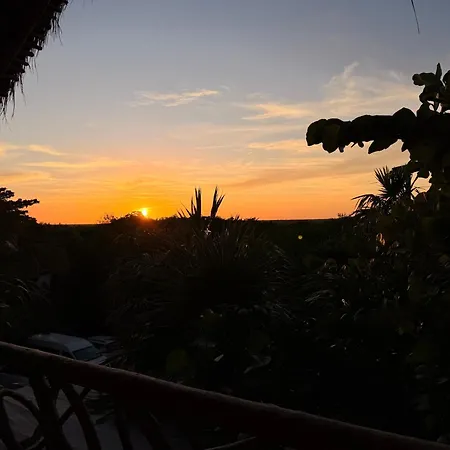 Alma Libre 4*