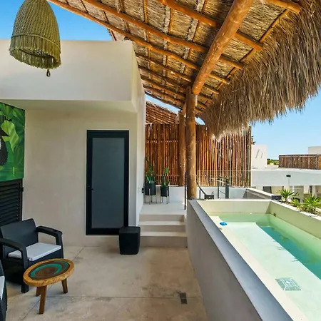 Apartment Penthouse With Private Plunge Pool - 2 King