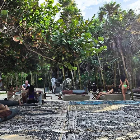 Art House - Filtered Water & 2 Free Clubs Zone Tulum