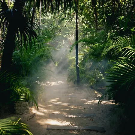 Nomade Temple Hotel Tulum