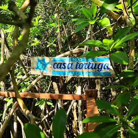 Casa Tortuga - Cenotes Park Inclusive