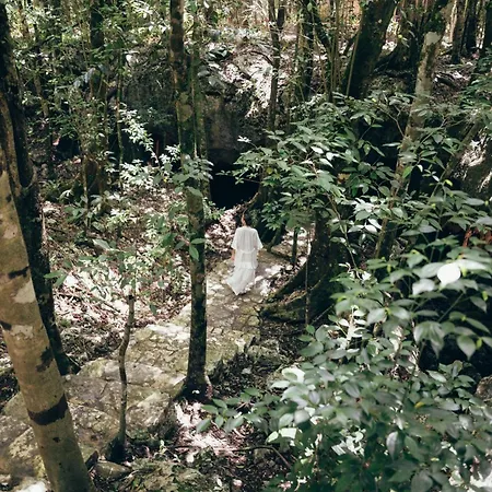 Naum - Secluded With Private Cenote * Tulum