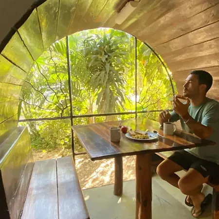 Guest house Mulut
