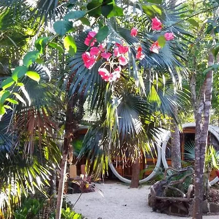 Guest house Mulut Tulum