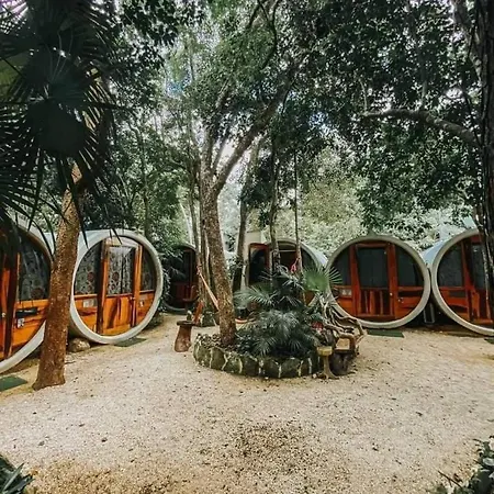 Mulut Guest house
