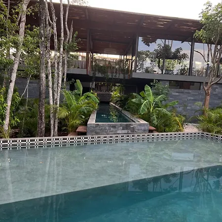 Jungle Luxury Romantic Club, And Private Pool Apartment Tulum