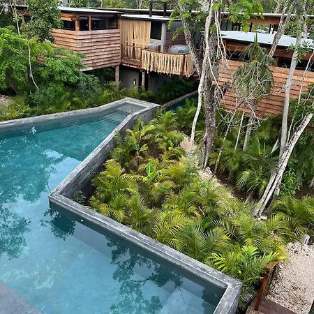 Jungle Luxury Romantic Club, And Private Pool Apartment
