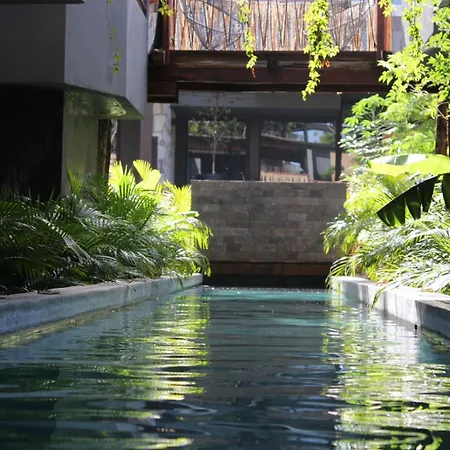 Jungle Luxury Romantic Club, And Private Pool Apartment Tulum