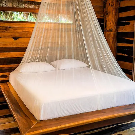 Treehouse H2ojos