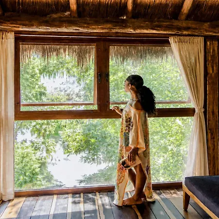 Treehouse H2ojos