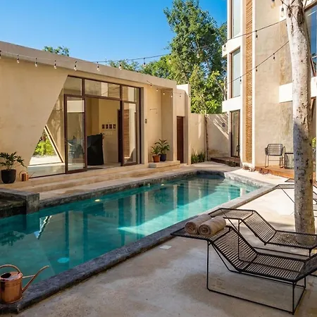 Private Rooftop Pool 3br Penthouse In The Jungle *