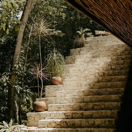Naum - Secluded With Private Cenote Villa *
