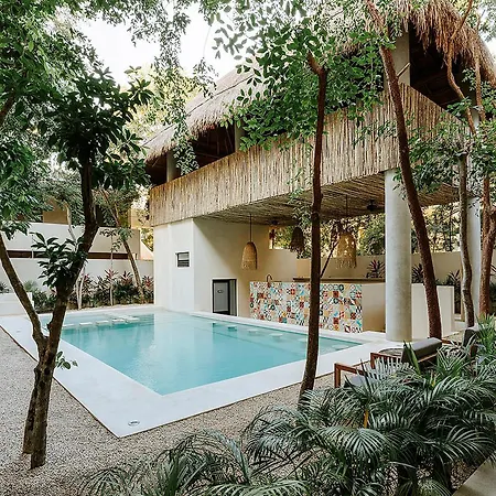 Stylish 3bd3ba In Tulum's Neighborhood Tulum