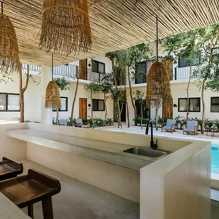 Stylish 3bd3ba In Tulum's Neighborhood * Tulum