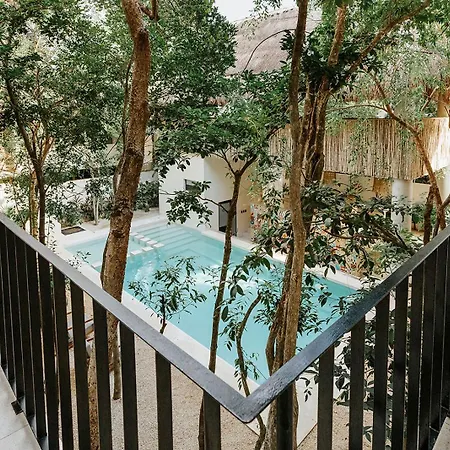 Stylish 3bd3ba In Tulum's Neighborhood Holiday home Tulum