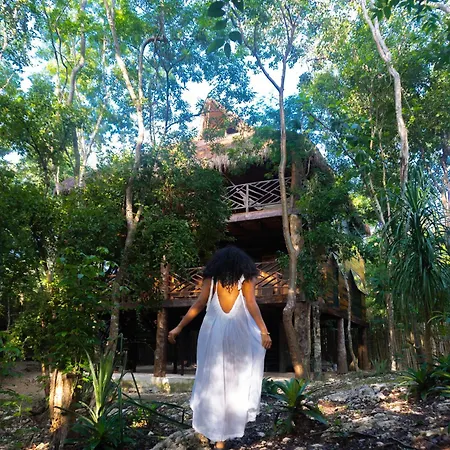 Treehouse H2ojos Tulum